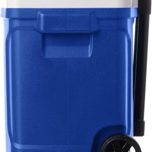 Coleman FlipLid Personal Cooler -5 Quarts (Copy)